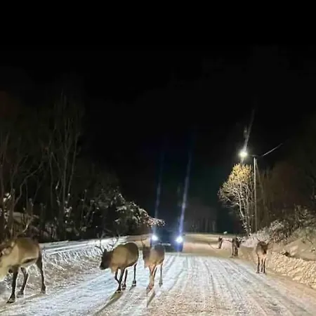 Hus I Naerheten Av Fjellheisen דירה *