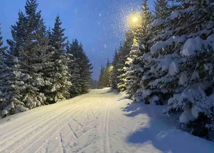 Hus I Naerheten Av Fjellheisen Апартаменты Тромсё