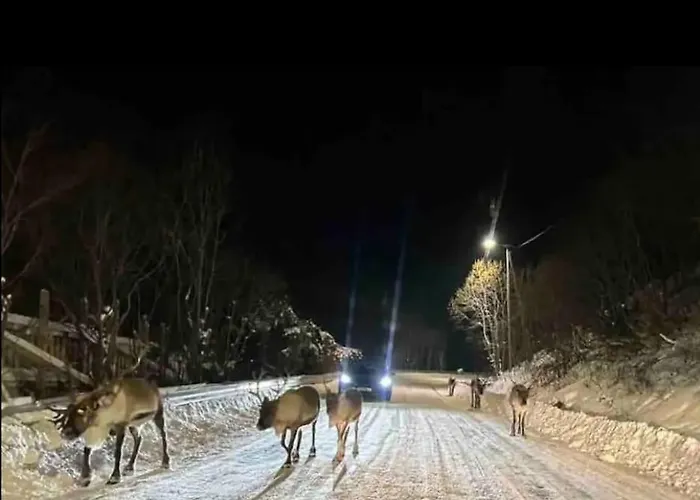 Hus I Naerheten Av Fjellheisen Апартаменты *